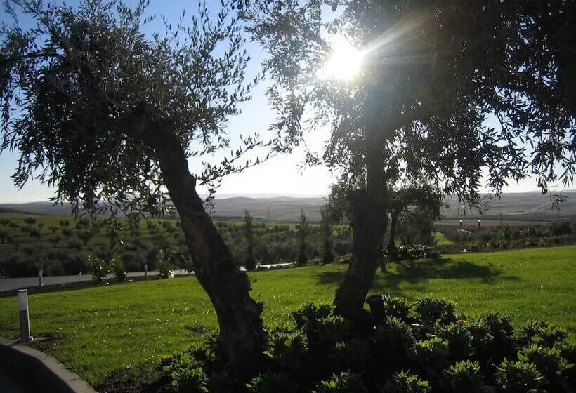 Fotos del hotel Rusticae  Villa Nazules:  13