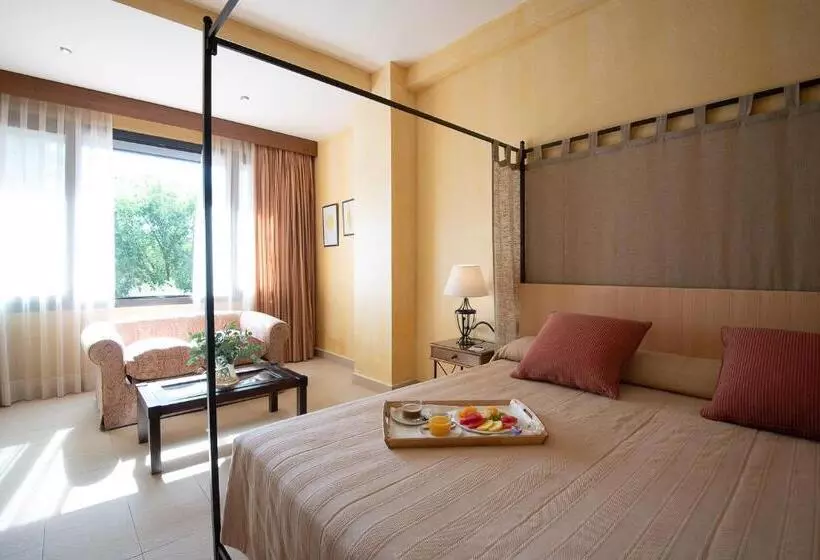 Fotos del hotel Intur Alcazar De San Juan:  3