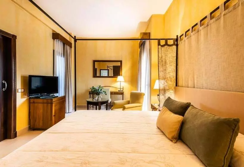 Fotos del hotel Intur Alcazar De San Juan:  7