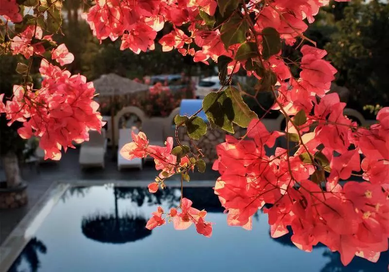 Fotos del hotel Hotel Artemis:  9