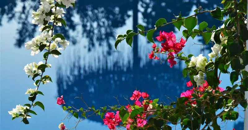 Fotos del hotel Hotel Artemis:  5