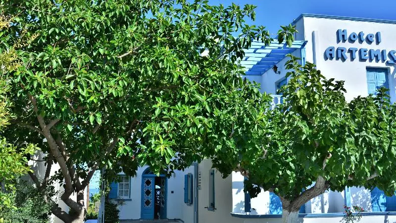 Fotos del hotel Hotel Artemis:  6