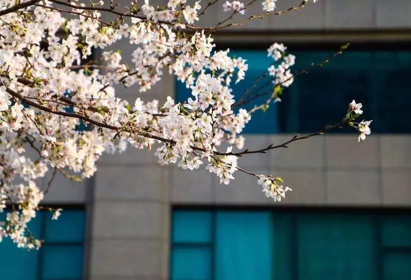 Fotos del hotel Renaissance Suzhou:  6