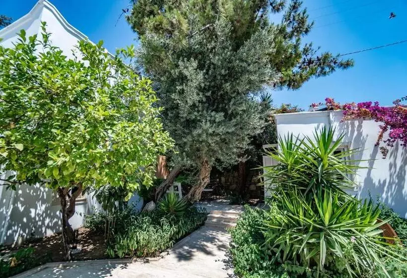 Fotos del hotel Manzara:  20