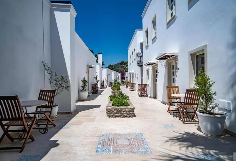 Fotos del hotel Manzara:  14