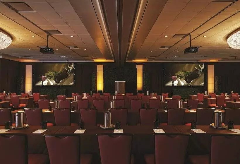 Fotos del hotel Park Mgm Las Vegas:  6