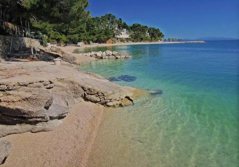 Fotos del hotel Rosina:  14