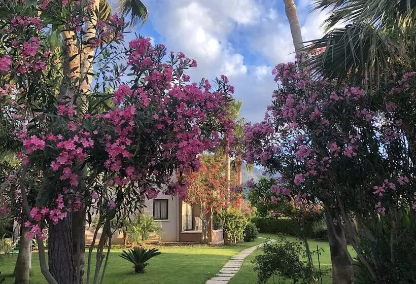 Fotos del hotel Life Hotel:  12