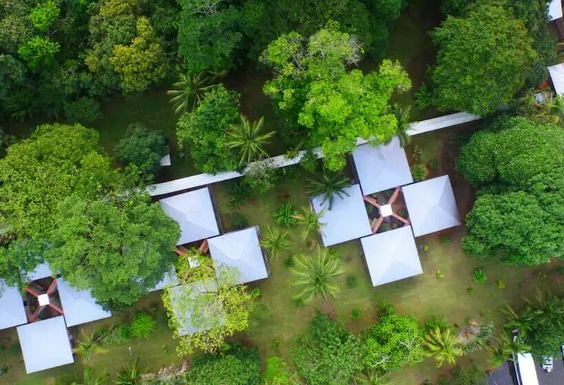 Fotos del hotel Manatus:  7