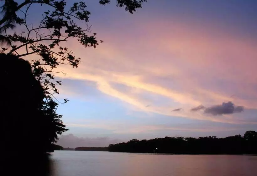 Fotos del hotel Manatus:  20