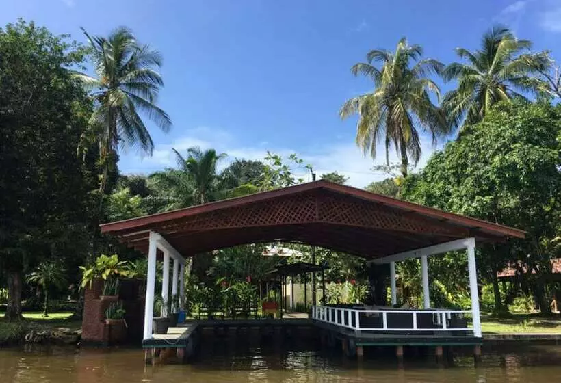 Fotos del hotel Manatus:  25