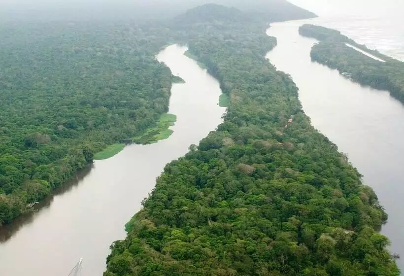 Fotos del hotel Manatus:  14