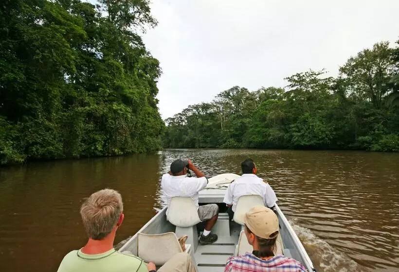 Fotos del hotel Manatus:  11