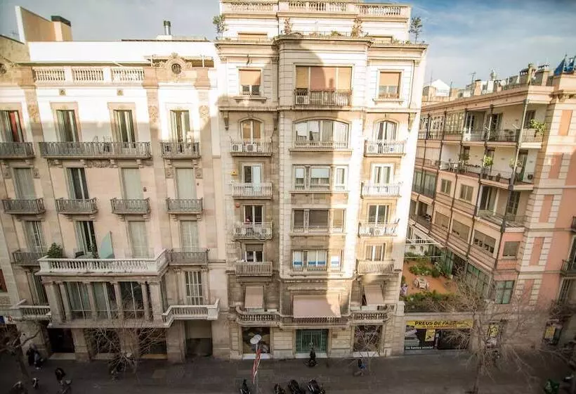 Fotos del hotel Petit Palace Museum:  11