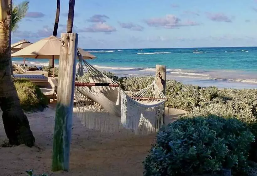 Fotos del hotel VIK Hotel Cayena Beach:  28