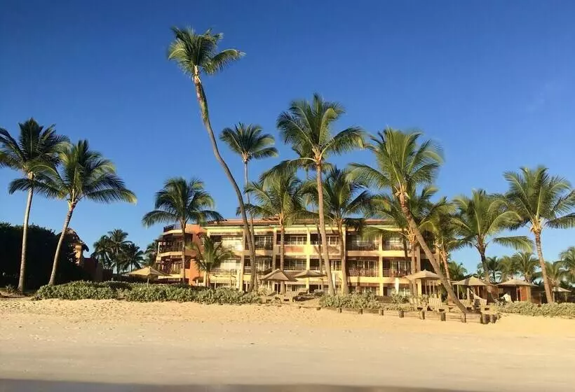 Fotos del hotel VIK Hotel Cayena Beach:  30