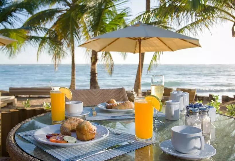 Fotos del hotel VIK Hotel Cayena Beach:  25