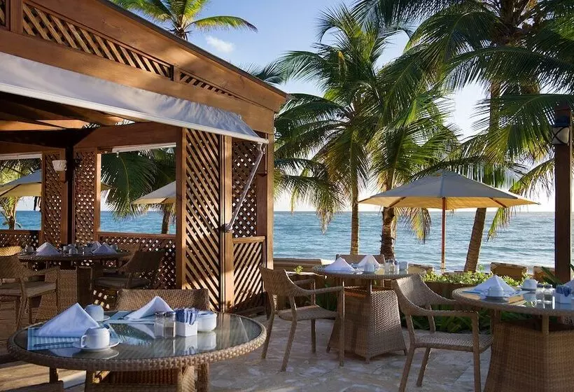 Fotos del hotel VIK Hotel Cayena Beach:  24