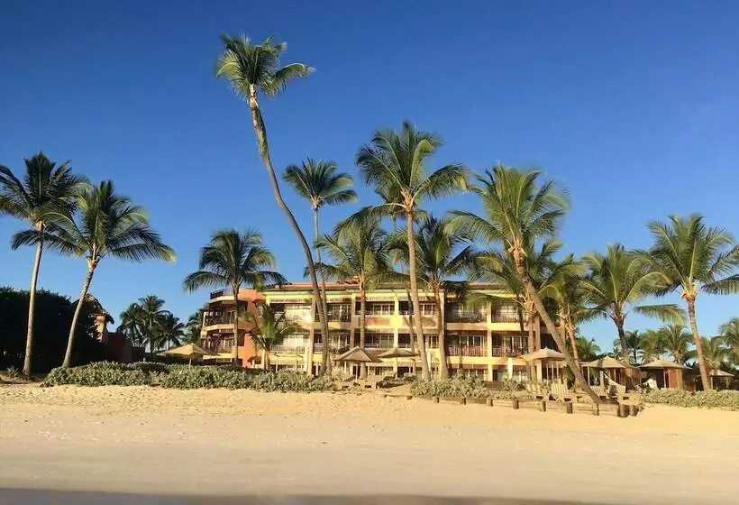 Fotos del hotel VIK Hotel Cayena Beach:  29