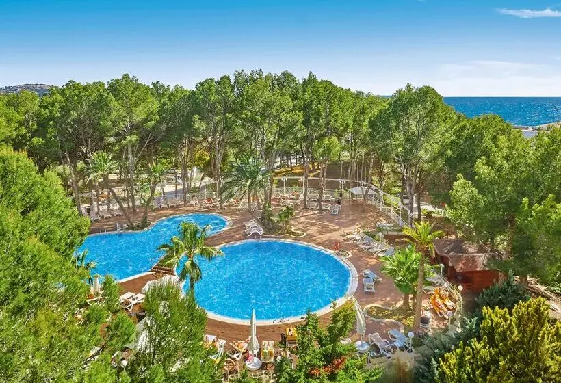 Fotos del hotel Allsun Hotel Bella Paguera:  3