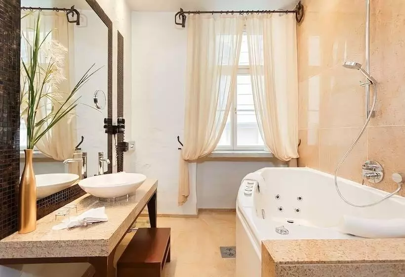 Fotos del hotel Savoy Boutique:  14