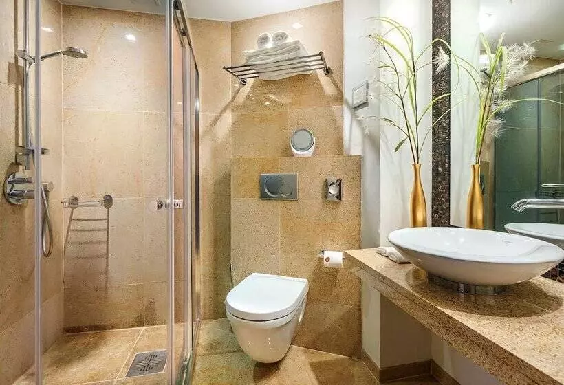 Fotos del hotel Savoy Boutique:  8