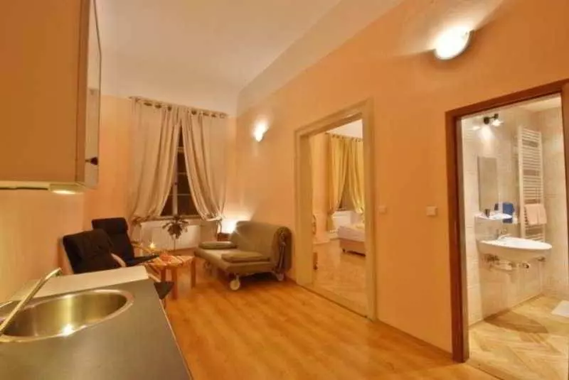 Fotos del hotel Aparthouse U Zlate Podkovy:  13