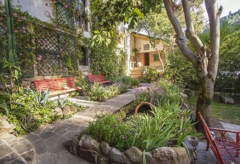 Fotos del hotel Arqueologo:  15