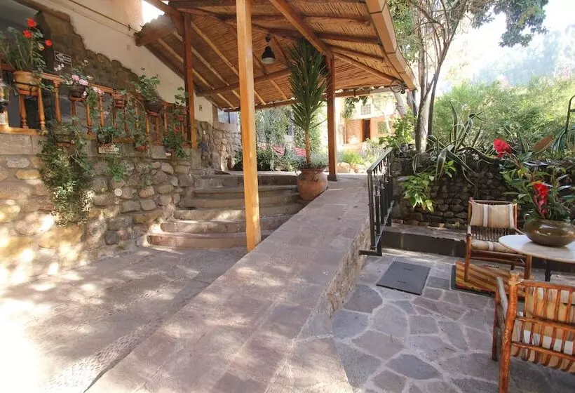 Fotos del hotel Arqueologo:  4