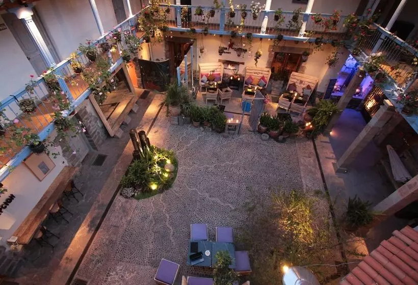 Fotos del hotel Arqueologo:  12