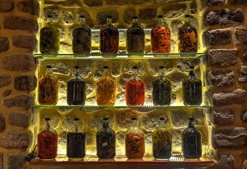 Fotos del hotel Arqueologo:  5