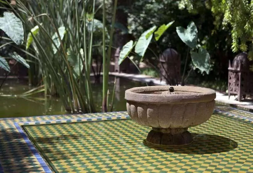 Fotos del hotel Dar Rhizlane & Spa  Palais & Table D Hôtes:  20