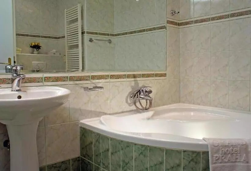 Fotos del hotel Grand  Praha:  10