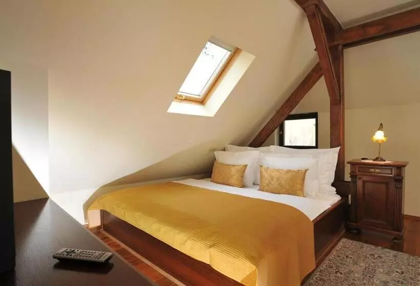 Fotos del hotel Grand  Praha:  23