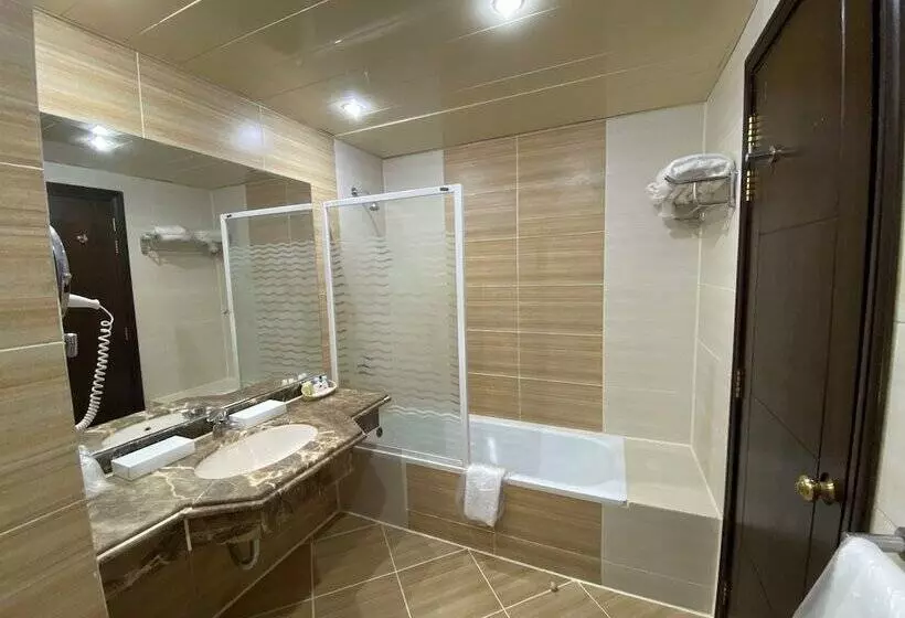 Fotos del hotel Regency Plaza Aqua Park And Spa Resort:  7