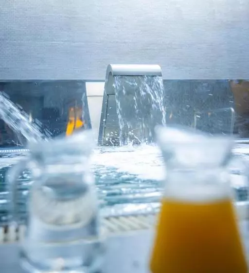 Fotos del hotel Veracruz Plaza & Spa:  11