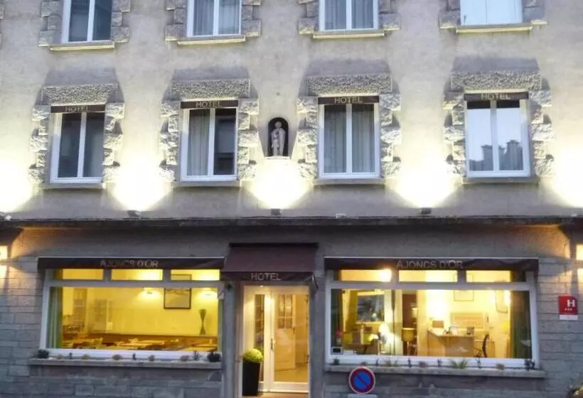 Fotos del hotel Ajoncs D Or:  8