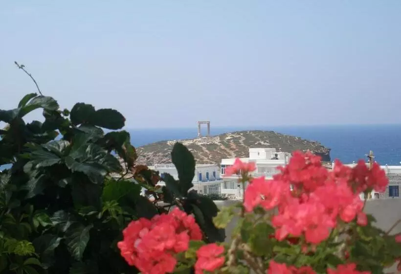 Fotos del hotel Chateau Zevgoli:  15