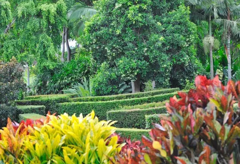 Fotos del hotel Soho Brisbane:  22