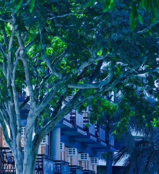 Fotos del hotel Soho Brisbane:  23