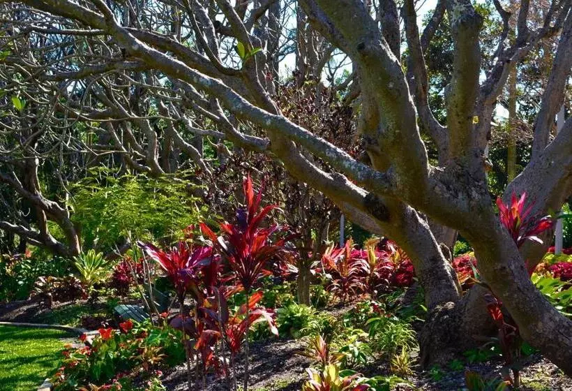 Fotos del hotel Soho Brisbane:  14