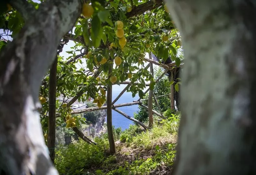 Fotos del hotel La Pergola:  11