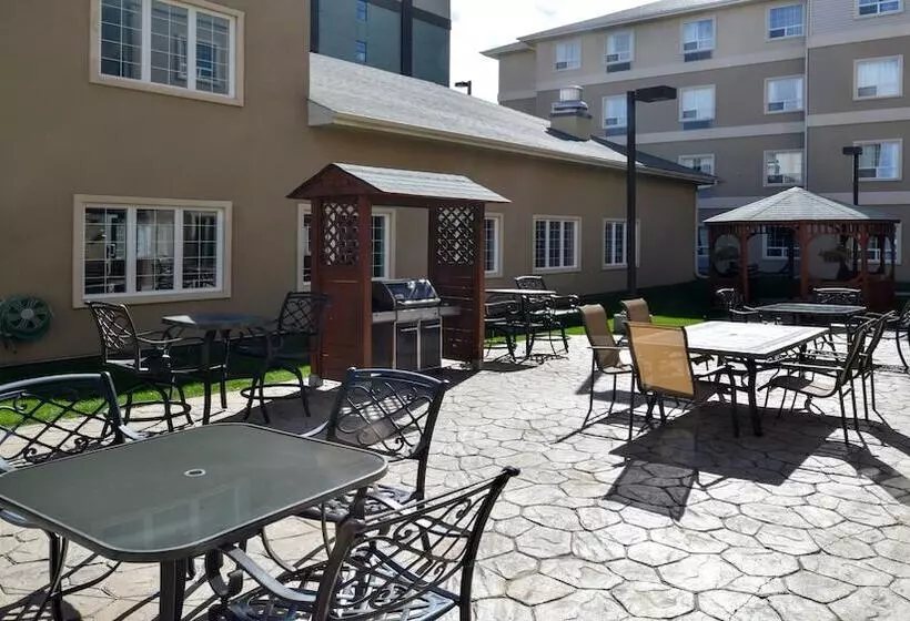 Fotos del hotel Staybridge Suites - Calgary Airport, An Ihg:  5