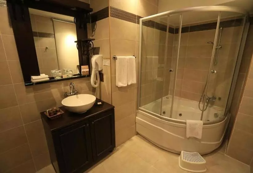 Fotos del hotel Ottoman Hotel Imperial-special Category:  14