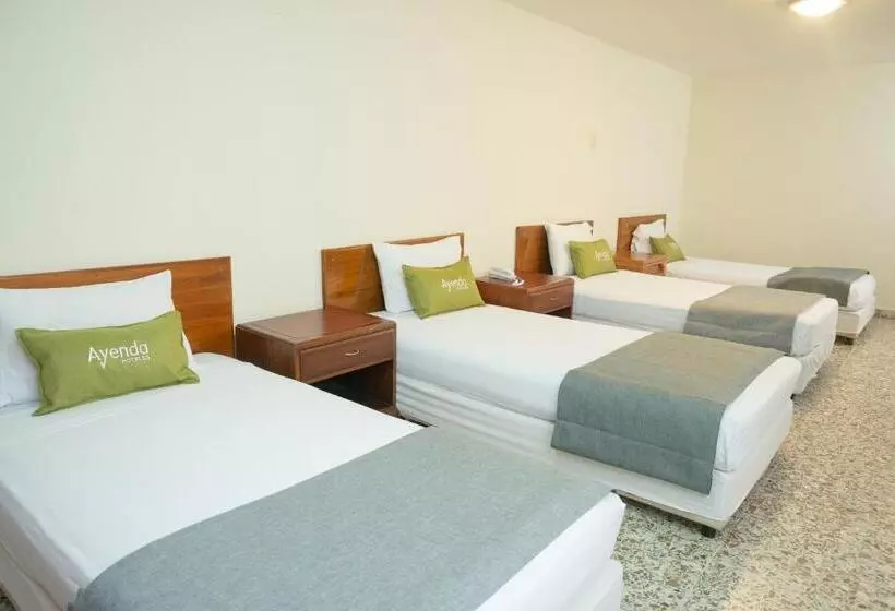 Fotos del hotel Ayenda 1313 Barahona 72:  13