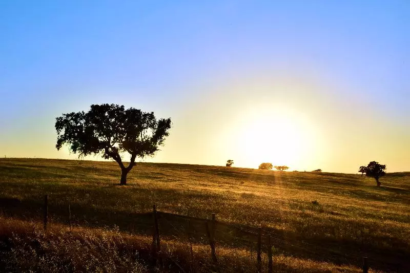 Fotos del hotel Pousada Castelo De Estremoz:  20