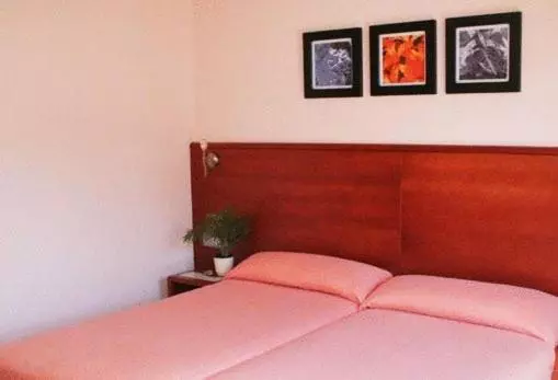 Fotos del hotel Sant Quirze De Besora:  14