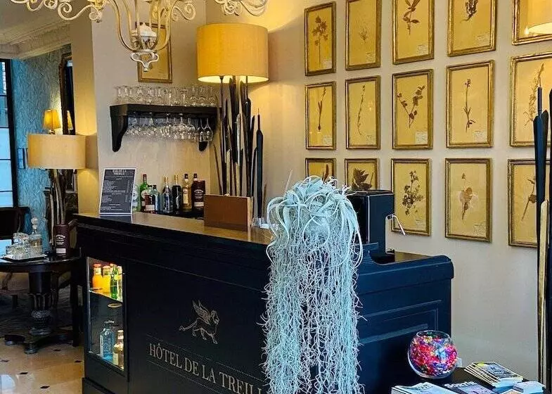 Fotos del hotel De La Treille:  5