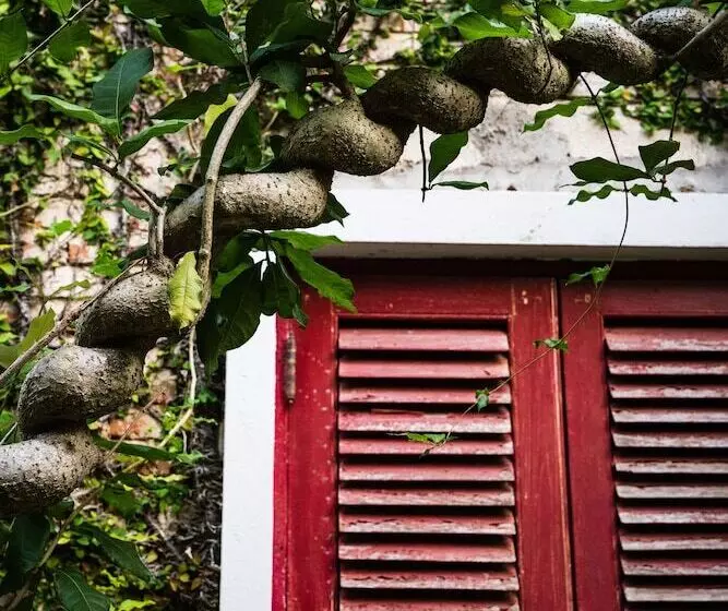 Fotos del hotel Kaomai Lanna Resort:  11