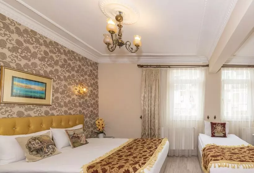 Fotos del hotel Stone Hotel Istanbul:  14